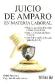 Juicio de amparo en materia laboral