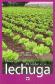 Manual Prctico del Cultivo de la Lechuga
