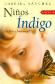 Nios Indigo