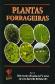 Plantas forrageiras - Pasturas