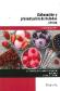 Elaboracin y Presentacin de Helados