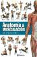 Anatoma y musculacin
