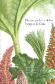 Plantas y rboles de los Bosques de Chile