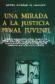 Una Mirada a la Justicia Penal Juvenil