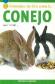 Consejos de Oro para tu Conejo