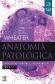 Anatoma Patolgica Wheater