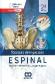 Tecnicas de inyeccion espinal