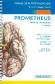 PROMETHEUS. Atlas de Anatoma.Fichas de autoevaluacin