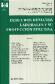 Derechos Humanos Laborales y su proteccin efectiva  3
