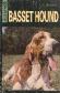 Basset Hound