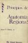 Principios de Anatomia regional