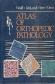Atlas of orthopedics patology