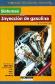 Sistemas de inyecci�n de gasolina