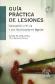 Gua prctica de lesiones