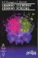 Cerebro Izquierdo Cerebro Derecho