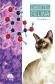 Diebetes felina