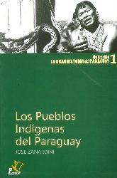 Los Pueblos Indgenas del Paraguay