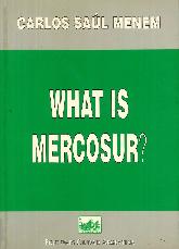 What is Mercosur?