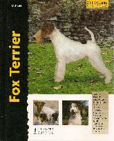 Fox Terrier