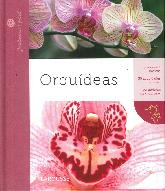 Orqudeas