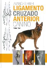 Avances en el ligamento cruzado anterior canino