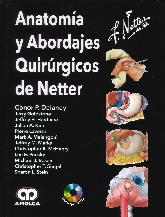 Anatoma y abordajes quirrgicos de Netter 