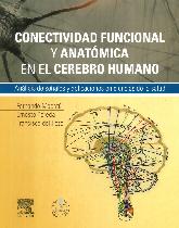 Conectividad funcional y anatmica en el cerebro humano