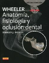 Anatoma, fisiologa y oclusin dental Wheeler