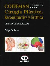 Ciruga plstica, reconstructiva y esttica - Tomo 3