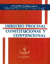 Derecho Procesal Constitucional y Convencional