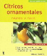 Ctricos ornamentales rpido y fcil