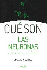Qu Son  Las Neuronas