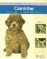 Caniche