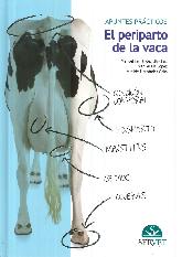 El periparto de la vaca. Apuntes prcticos