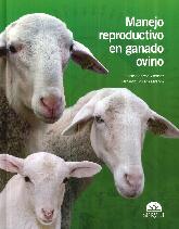 Manejo reproductivo en ganado ovino