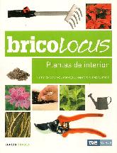 Bricolocus Plantas de Interior