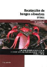 Recoleccin de hongos silvestres