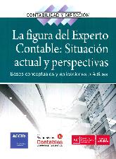 La Figura del Experto Contable : Situacin Actual y Perspectivas