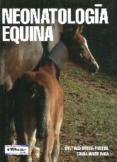 Neonatologa Equina