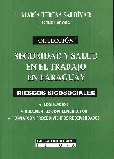 Riesgos Sicosociales Seguridad y Salud en el Trabajo en el Paraguay