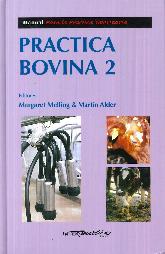 Practica  Bovina 2