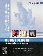 Odontologia de pequeos animales