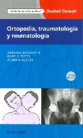 Ortopedia, Traumatologa y Reumatologa