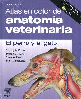 Atlas en color de Anatoma Veterinaria El perro y el gato