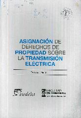 Asignacin de Derechos de Propiedad sobre la Transmisin Elctrica