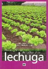 Manual Práctico del Cultivo de la Lechuga