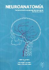 Neuroanatoma