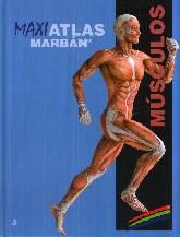 Maxi Atlas Marbán: Músculos
