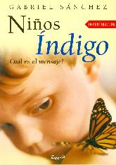 Nios Indigo 