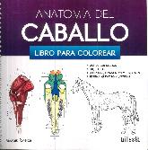 Anatoma del Caballo